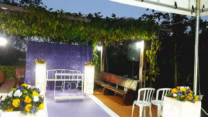 Casamento Entardecer